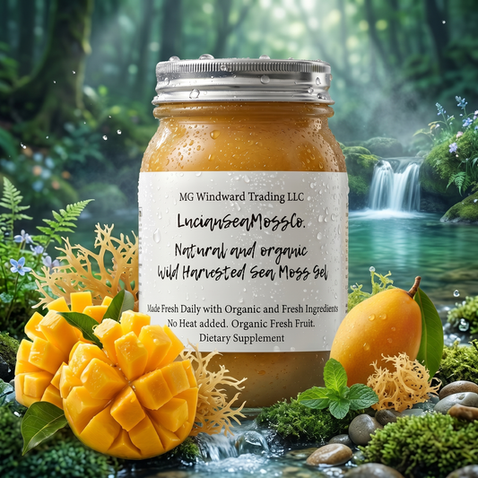Fresh Organic Mango Infused Sea Moss Gel