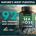 Load image into Gallery viewer, Seaweed Compound Vitamin Capsules
